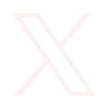 X icoon